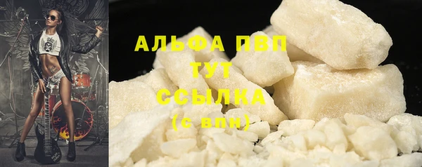 дживик Осинники