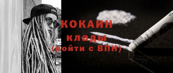 дживик Осинники