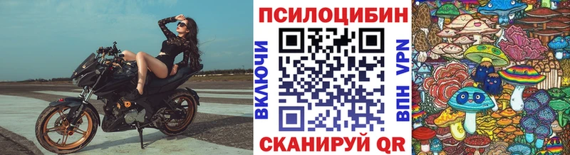 Галлюциногенные грибы GOLDEN TEACHER  Купить где  Заозёрный 
